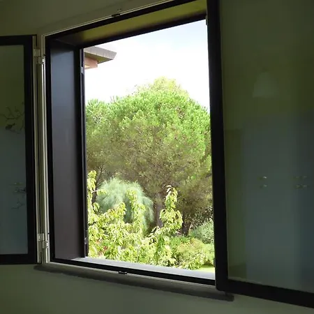 Etna Apartment Nicolosi