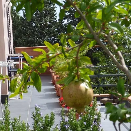 Etna Apartmán Nicolosi